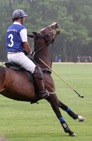 Polo_Art   052.jpg